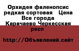 Орхидея фаленопсис редкая сортовая › Цена ­ 800 - Все города  »    . Карачаево-Черкесская респ.